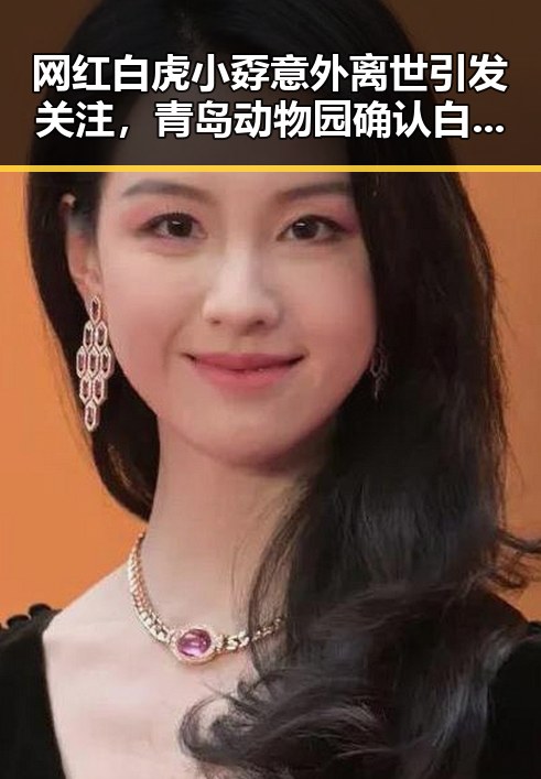 网红白虎小孬意外离世引发关注,青岛动物园确认白虎打斗致死同时印度留不住特斯拉的背后原因大揭秘